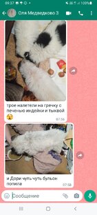 После капельницы появился аппетит