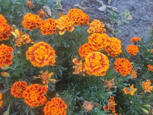 Вместе с детьми.