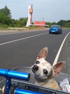 Велодальнобои