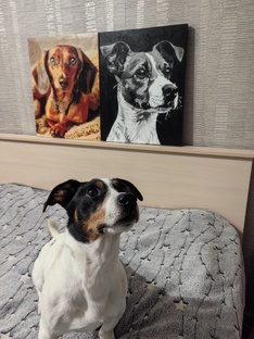 #Ральф#моипитомцы