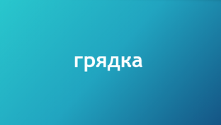 Горох