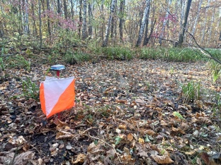 Спортивное ориентирование.