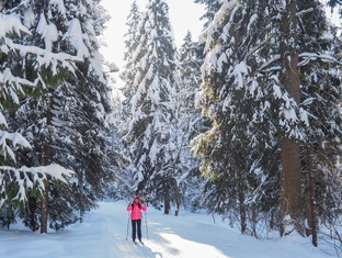 Лыжни Москвы и Подмосковья