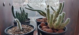 Обсуждаем наболевшее