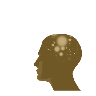 Высшие Психические Функции 