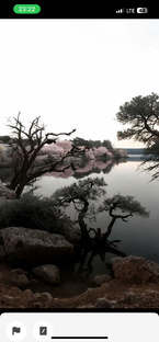 Физкультминутки 