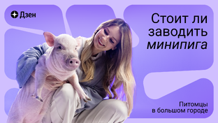 Персик в Большом городе 😎