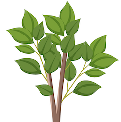 Не совсем о подростках