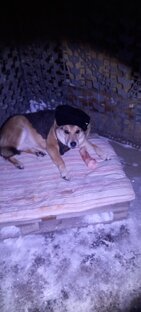 Долька