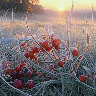 Истории из жизни