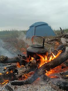 Мои путешествия. Фильмы