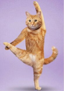 Упражнения