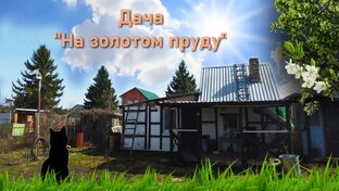 Жизнь на даче