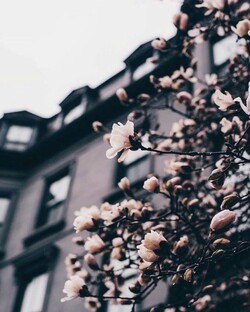 Эстетик фотки