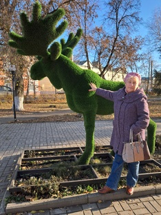 Моменты из жизни в городе 
