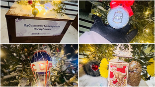 Разговоры, прогулка, развлечения