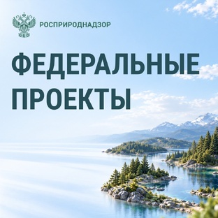 Федеральные экологические проекты