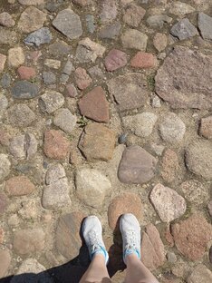 Путешествия