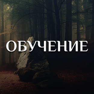 Обучение в Школе