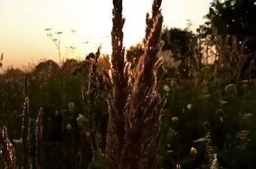 Моменты из жизни 