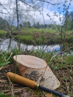 Избранное 