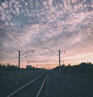 Путешествия маленькой совы