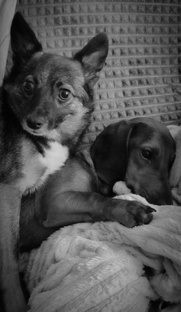 Переезд из дома 4 в дом 1