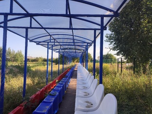 🌴 Летние приключения 🌴