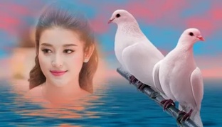 Две недели счастья.