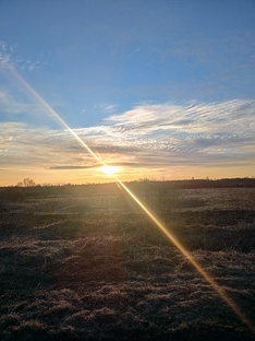 Живые звуки природы