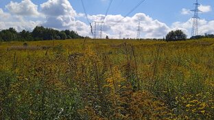 наше Подмосковье