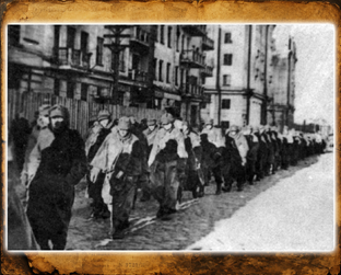 Оборона Заполярья