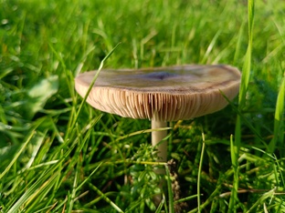 Осень и декабрь 2025