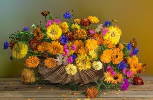 Музыка, пробуждающая лучшие чувства,