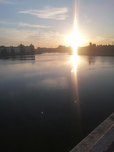 Беременность и дети.