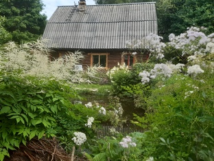 Наша жизнь в деревне