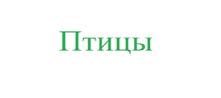 Птицы