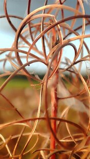 Настроение