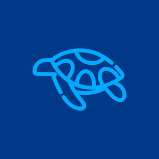 Карта рассрочки ЧЕРЕПАХА