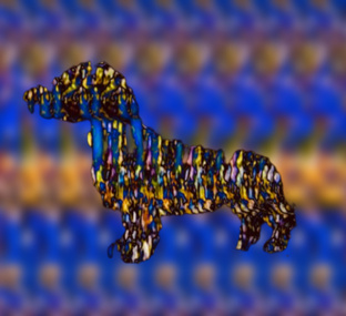 Стереограммы 