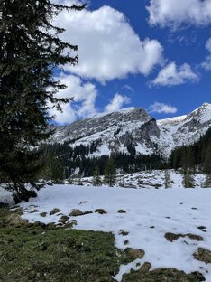 Путешествия по Австрии