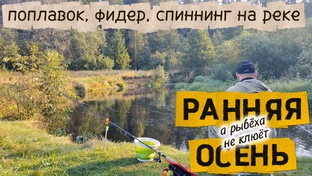 Рыбалка осень 2025