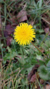 Ушли из моей коллекции 😕