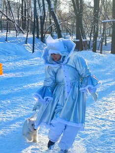 Собаки ДОСААФ