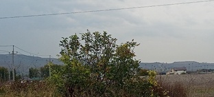 Мои отношения с ТНС Энерго