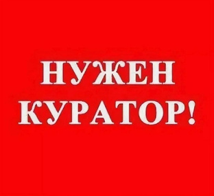Мне нужен куратор!