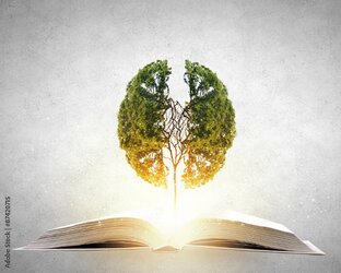 Психология книг