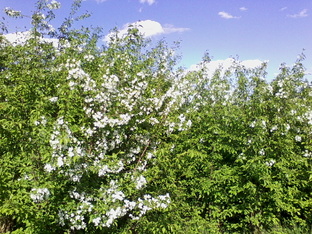 Философские темы