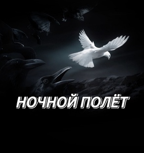 НОЧНОЙ ПОЛЁТ 