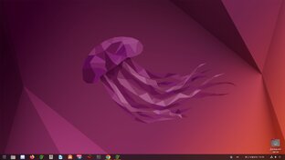 Ubuntu linux